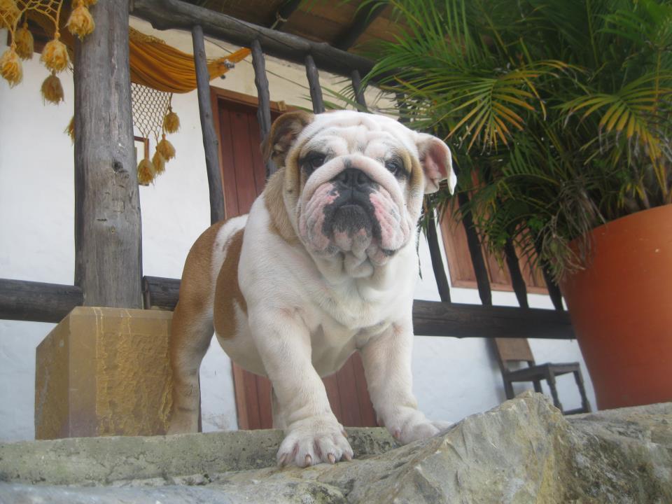 Hotel Terrazas De La Candelaria ซานกิล ภายนอก รูปภาพ